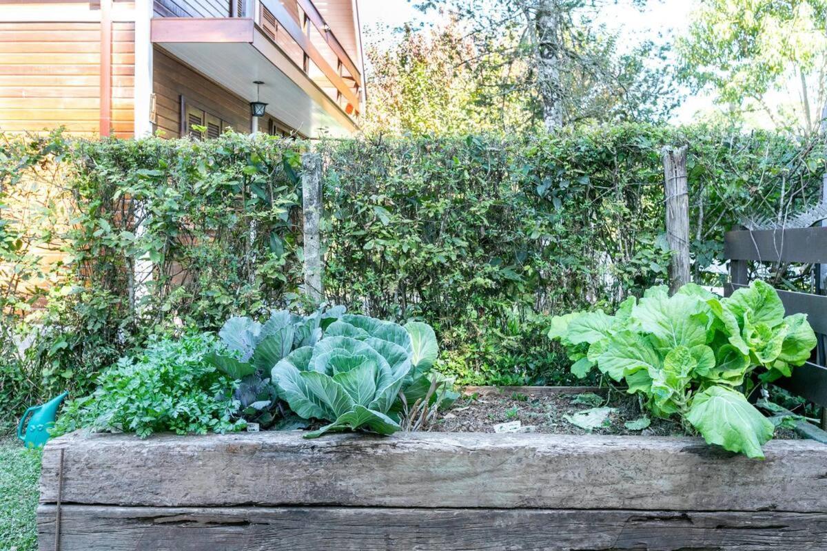 Vila Chale Pinot Com Lareira Campos do Jordão Exteriér fotografie